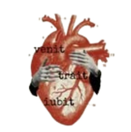 Venit. Trait. Iubit.